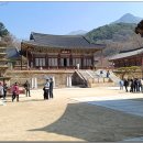 하나로 21 이미지