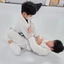 2024 기초체력 & 호신술 | 광주 광산구 주짓수 | 놀이 체육은 그만! 청소년대표팀 감독이 가르치는 진짜 초등부 호신술