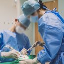 미소치과기공소 이미지