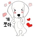 대구애견스쿨 이미지