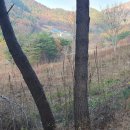 서정원농장 이미지