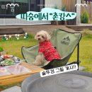 강화도펜션 따숨 강화도 가볼만한곳