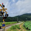 행복팬션 이미지