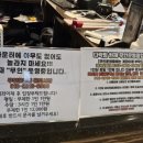 놀러와포켓볼 이미지