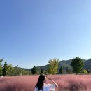 덕동마을회관 이미지