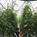 은준농장 이미지