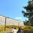 남산숲속여행길 | 남산타워 쉽게 올라가는길 계단없는 하늘숲길 산책 코스 벚꽃 구경 성공적