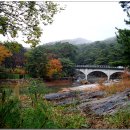 [양산 통도사] 이슬비+ 단풍이 조화로웠던 통도사 뒤 봉화봉 도보기 이미지