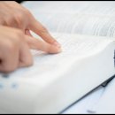 가야공인중개사 이미지