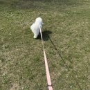 줄앤리쉬