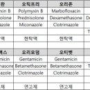 봄약국 이미지