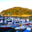 완도대성병원 이미지