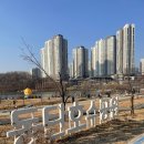 동탄호수공원 + 라본테이블 동탄호수점 (감베로 올리브 스파게티, 고르곤졸라 피자, 새우샐러드)