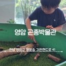 나주곤충 | 영암곤충박물관 주말 실내 체험 (ft. 파충류 교감 & 나주박물관 보너스)