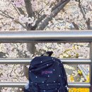 도트(Dot)헤어살롱 | 잔스포츠 도트 백팩 슈퍼브레이크 POLKA DOT BLACK 내돈내산