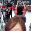 전국머리자랑 이미지