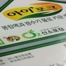 두두피앤피