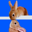 크레이션 asb 이미지