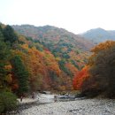강원산소 이미지