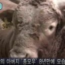 꽃미남축산 이미지