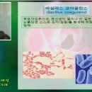 내 몸의 파수꾼 유인균 스토리 26-바실러스코아귤런스 이미지