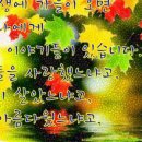 무주 다다펜션 이미지