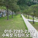 서울근교 수목장 자연장 잔디장 (설명) 용인수목장 이미지