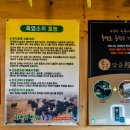보문흑염소
