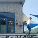 cafe y(카페와이) 이미지