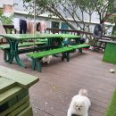 산당화가 피는집 이미지