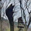 담양-01 이미지