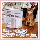 조은사료 | 장마철 대비 고양이 사료 보관? 무선 진공 쌀통 내돈내산 후기!