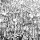 심상의 풍경 이미지