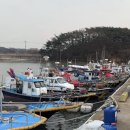 승진 | 태안 승진횟집 모듬회세트 후기 │ 안면도 횟집 추천, 아일랜드리솜 픽업 가능 맛집