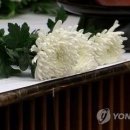 국군포천병원에서 육군 3사단 병사 극단적 선택해 사망 이미지