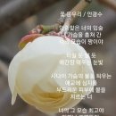 믿는구석 이미지