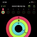 크로스핏 태풍 이미지