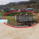부여공인중개사사무소 이미지