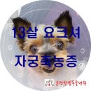 운정한빛동물병원 이미지