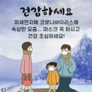 비트청 효능 이미지