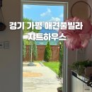 경기도 가평 애견풀빌라 애견운동장 대관 쟈트하우스
