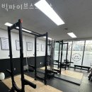 빅파이브 스트렝스 이미지