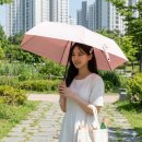 슈가비모터웍스 | 역대급 가벼움! ARDECO 124g 초경량 암막 우산 겸용 양산 실물 후기