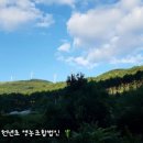 청옥산분말 이미지