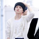 요시 이미지