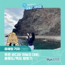 울릉한마음회관 | [독도랑 기자단] 유채린 기자 x 푸른 바다와 하늘의 대화, 울릉도/독도 탐방기(쏠쏠한 여행TIP)✌️