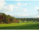 호텔 더엠(Hotel the M) 이미지