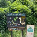 산울림 유아숲체험원 이미지