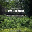 [고성 여행] 고성풀빌라 스테이백촌, 강아지랑 조용히 쉬고 온 독채펜션 기록