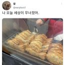 붕어빵세상